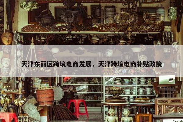 天津东丽区跨境电商发展，天津跨境电商补贴政策