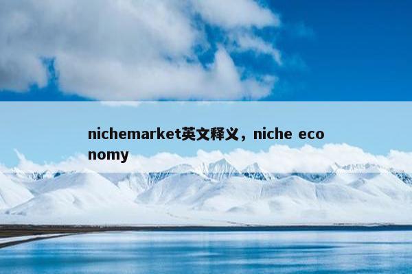 nichemarket英文释义，niche economy