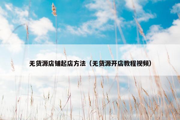 无货源店铺起店方法（无货源开店教程视频）