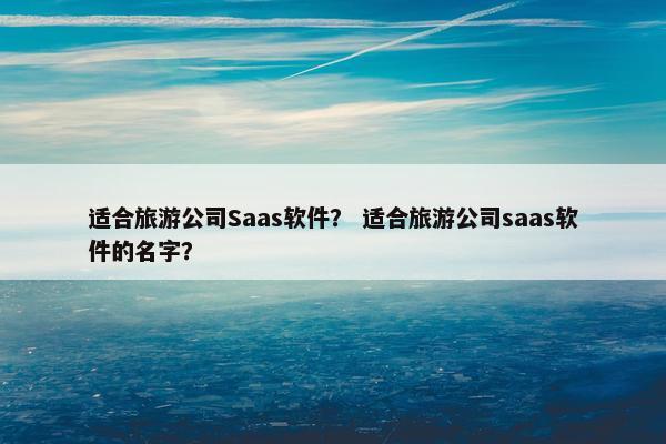适合旅游公司Saas软件？ 适合旅游公司saas软件的名字？