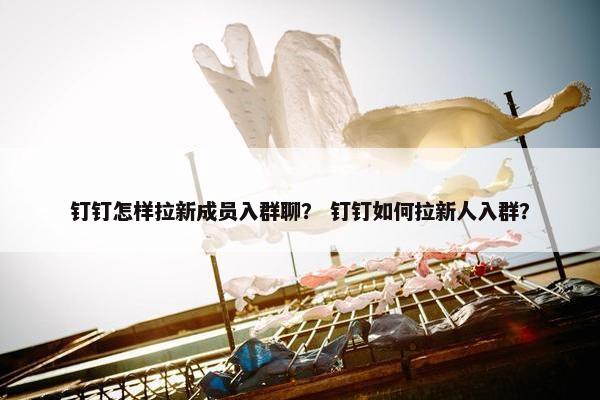钉钉怎样拉新成员入群聊？ 钉钉如何拉新人入群？