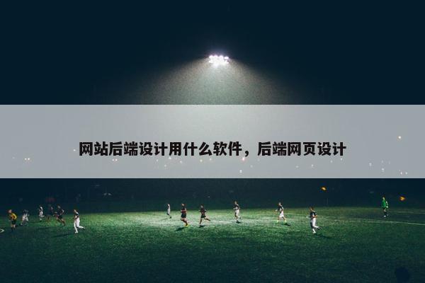 网站后端设计用什么软件，后端网页设计