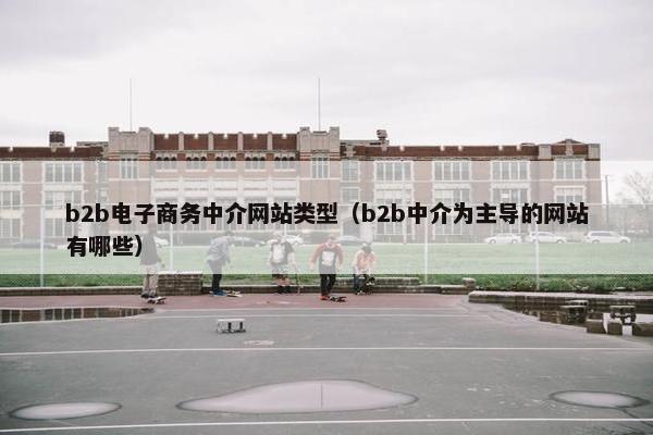 b2b电子商务中介网站类型（b2b中介为主导的网站有哪些）