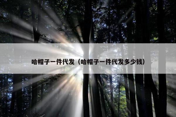 哈帽子一件代发（哈帽子一件代发多少钱）