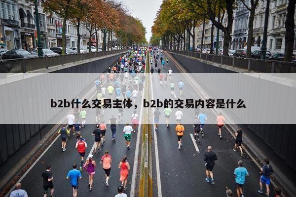b2b什么交易主体，b2b的交易内容是什么