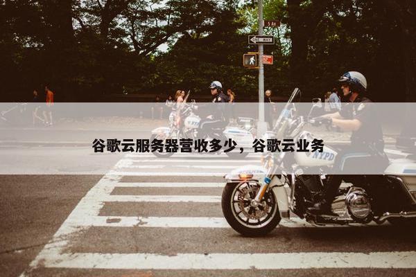 谷歌云服务器营收多少，谷歌云业务