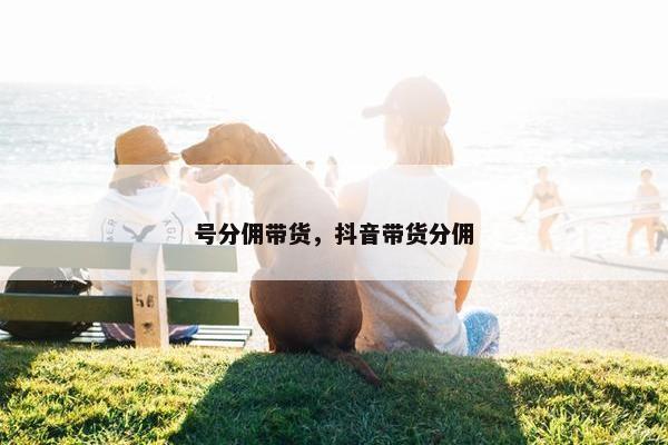 号分佣带货，抖音带货分佣