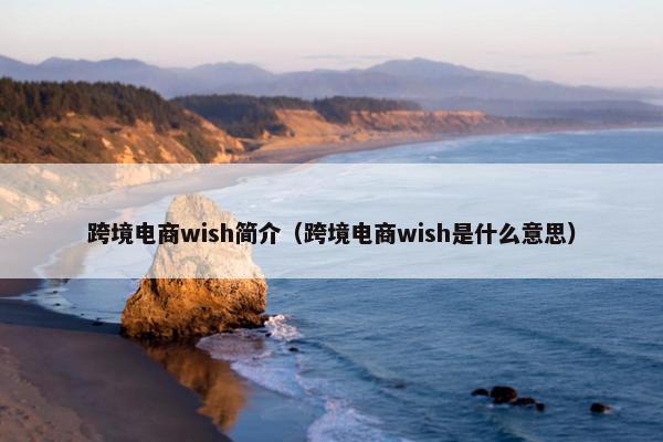 跨境电商wish简介（跨境电商wish是什么意思）