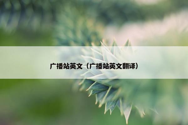 广播站英文（广播站英文翻译）