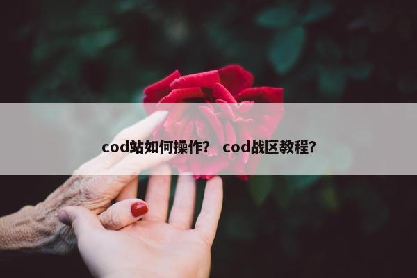 cod站如何操作？ cod战区教程？