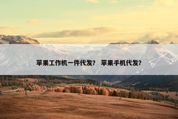 苹果工作机一件代发？ 苹果手机代发？