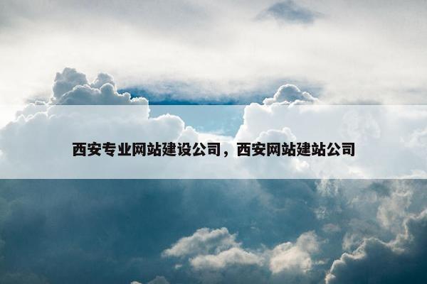 西安专业网站建设公司，西安网站建站公司