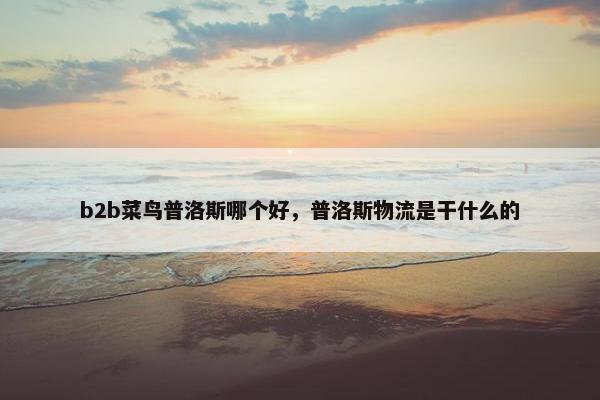 b2b菜鸟普洛斯哪个好，普洛斯物流是干什么的