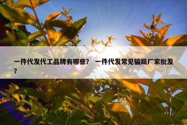 一件代发代工品牌有哪些？ 一件代发常见骗局厂家批发？