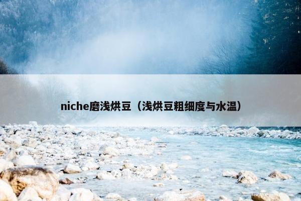 niche磨浅烘豆（浅烘豆粗细度与水温）