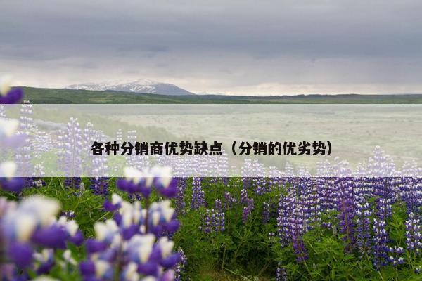 各种分销商优势缺点（分销的优劣势）