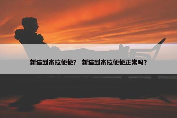 新猫到家拉便便？ 新猫到家拉便便正常吗？