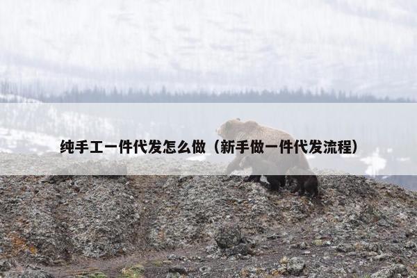 纯手工一件代发怎么做（新手做一件代发流程）