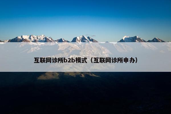 互联网诊所b2b模式（互联网诊所申办）