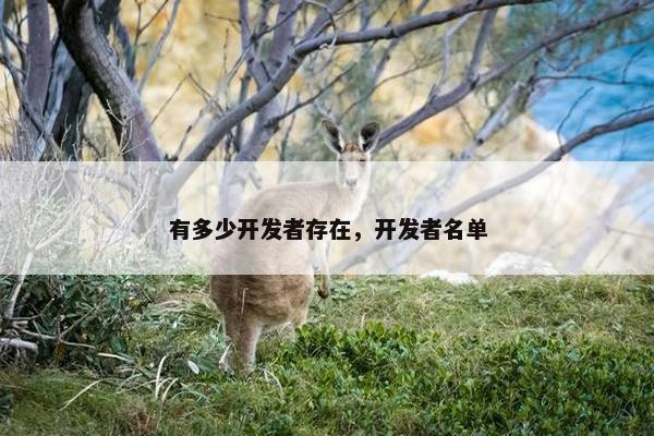 有多少开发者存在，开发者名单