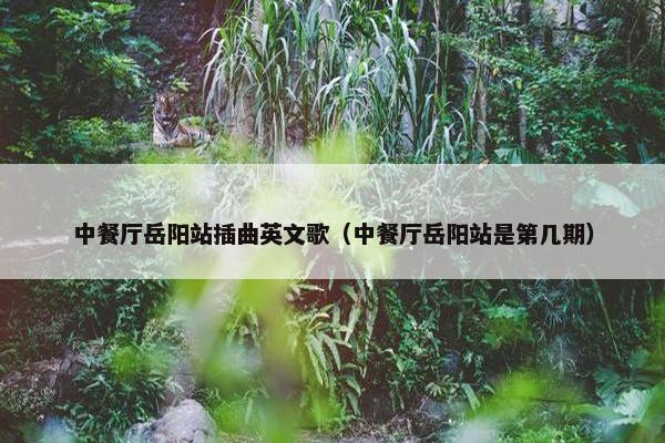 中餐厅岳阳站插曲英文歌（中餐厅岳阳站是第几期）