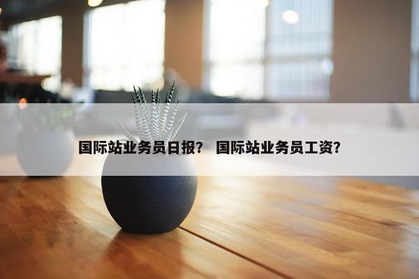 国际站业务员日报？ 国际站业务员工资？