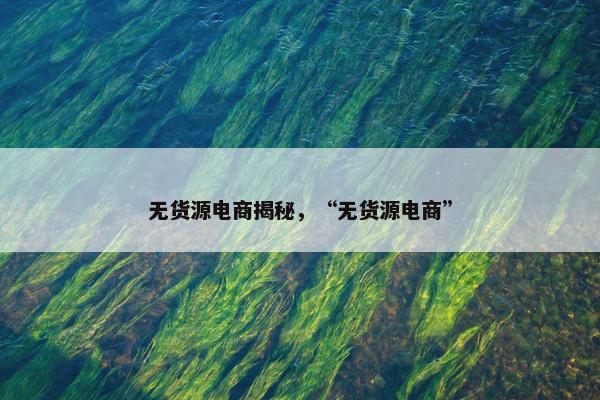 无货源电商揭秘，“无货源电商”