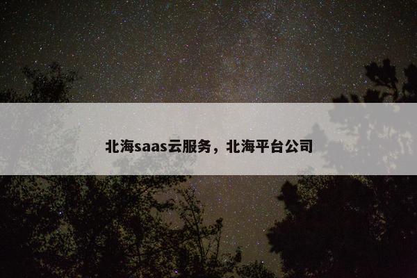 北海saas云服务，北海平台公司
