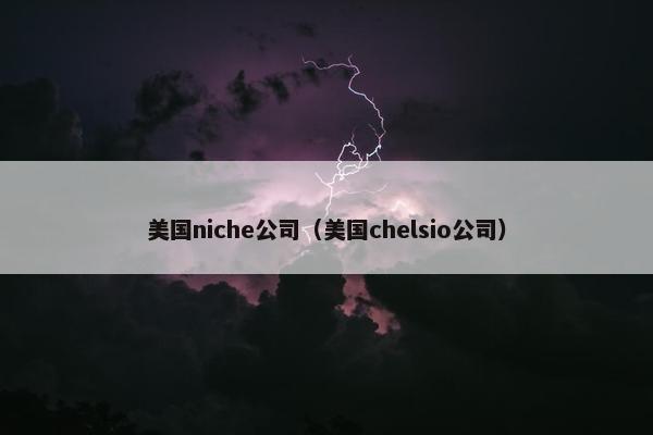 美国niche公司（美国chelsio公司）