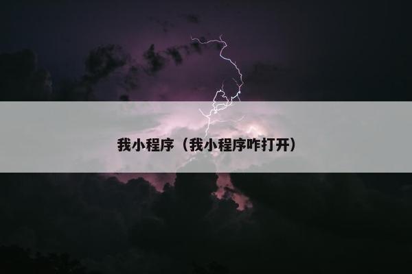 我小程序（我小程序咋打开）