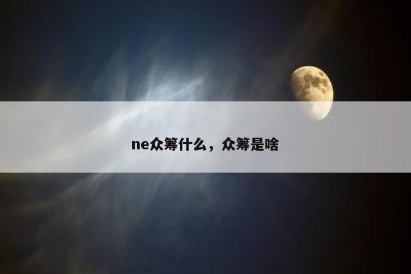 ne众筹什么，众筹是啥