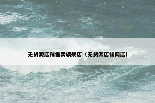 无货源店铺售卖旗舰店（无货源店铺网店）