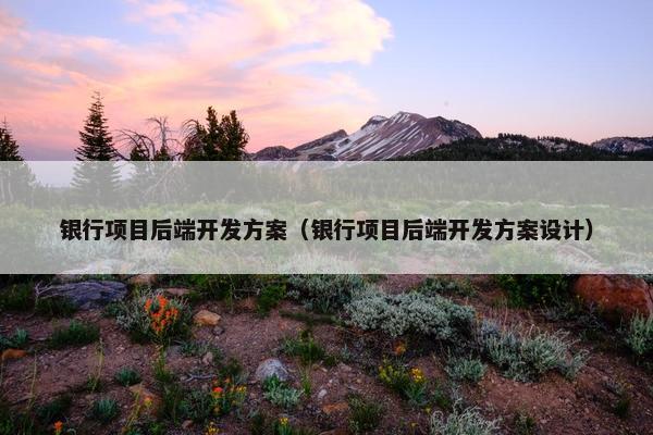 银行项目后端开发方案（银行项目后端开发方案设计）