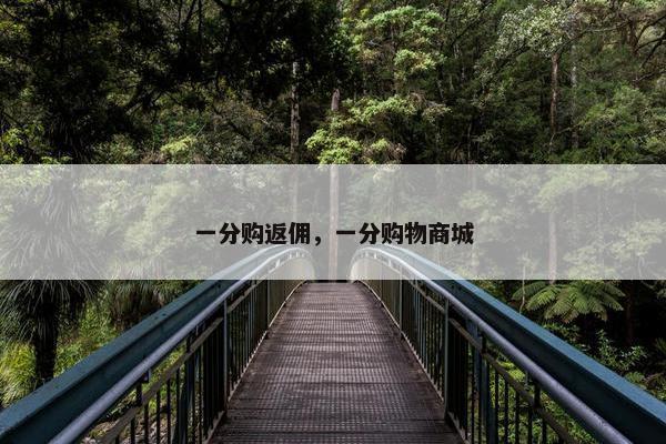 一分购返佣，一分购物商城