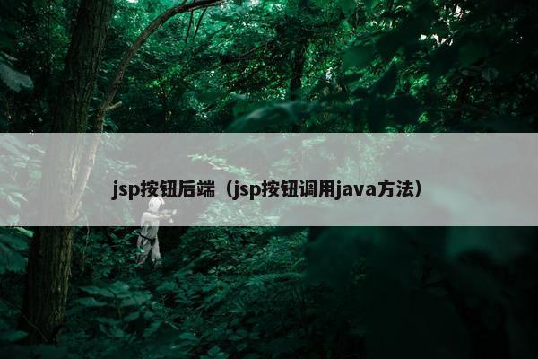 jsp按钮后端（jsp按钮调用java方法）