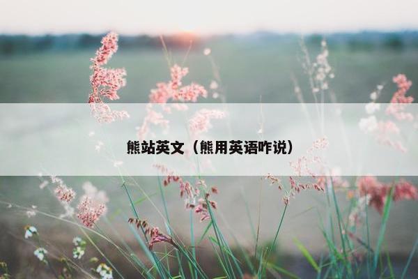 熊站英文（熊用英语咋说）
