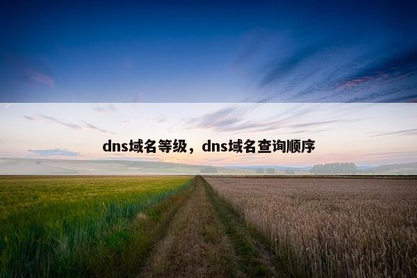 dns域名等级，dns域名查询顺序
