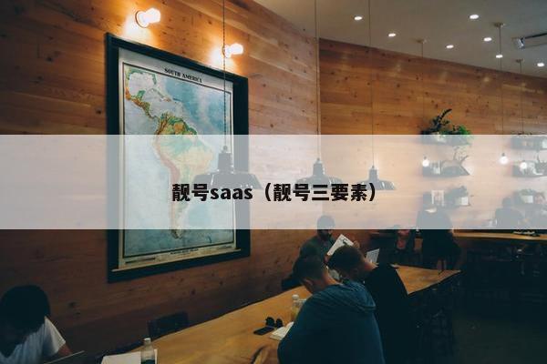 靓号saas（靓号三要素）