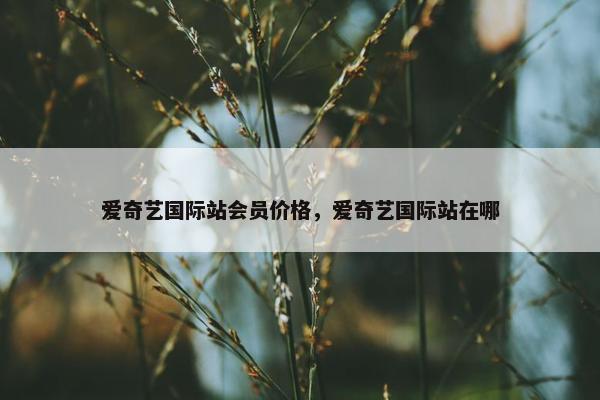 爱奇艺国际站会员价格，爱奇艺国际站在哪