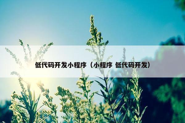 低代码开发小程序（小程序 低代码开发）