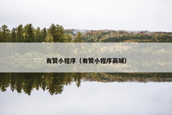 有赞小程序（有赞小程序商城）