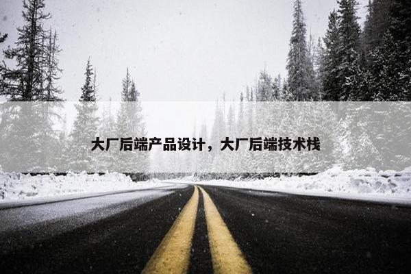 大厂后端产品设计，大厂后端技术栈