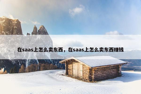 在saas上怎么卖东西，在saas上怎么卖东西赚钱