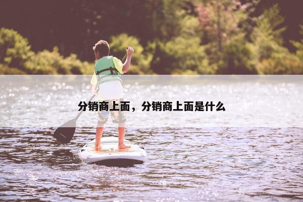 分销商上面，分销商上面是什么