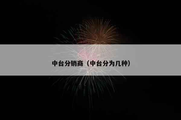 中台分销商（中台分为几种）
