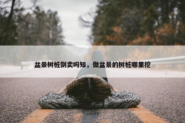 盆景树桩倒卖吗知，做盆景的树桩哪里挖