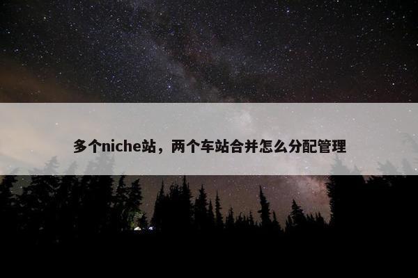 多个niche站，两个车站合并怎么分配管理