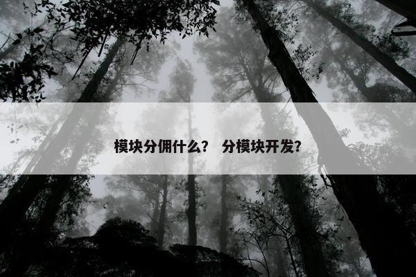 模块分佣什么？ 分模块开发？