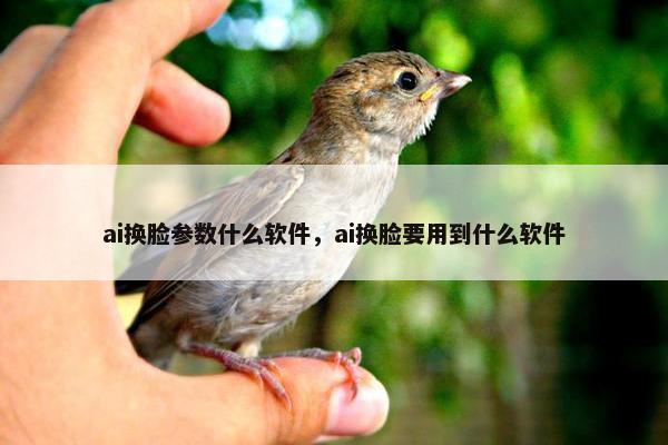 ai换脸参数什么软件，ai换脸要用到什么软件