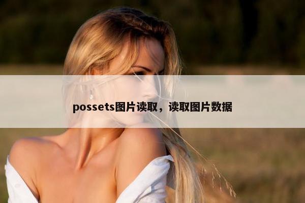 possets图片读取，读取图片数据